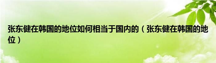 张东健在韩国的地位如何相当于国内的（张东健在韩国的地位）