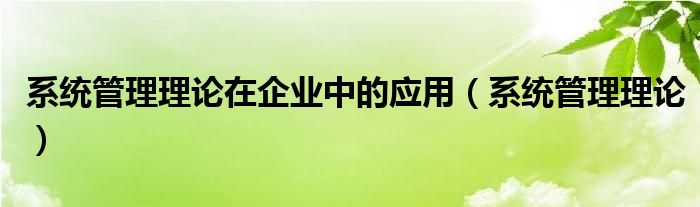 系统管理理论在企业中的应用（系统管理理论）