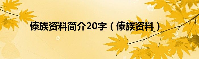 傣族资料简介20字（傣族资料）