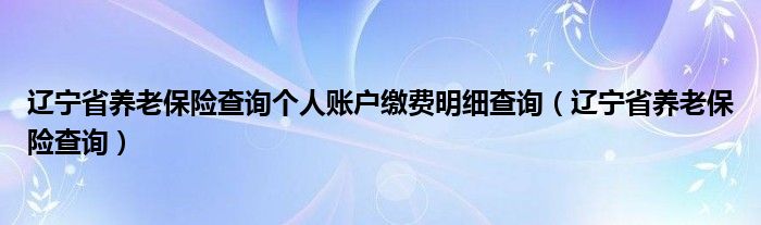 辽宁省养老保险查询个人账户缴费明细查询（辽宁省养老保险查询）