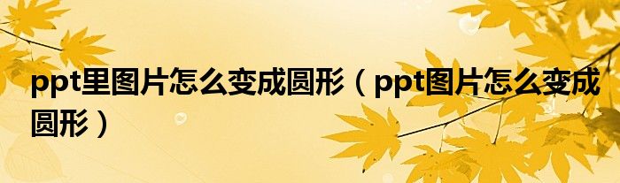 ppt里图片怎么变成圆形（ppt图片怎么变成圆形）