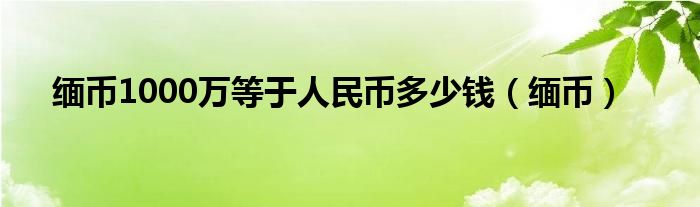 缅币1000万等于人民币多少钱（缅币）