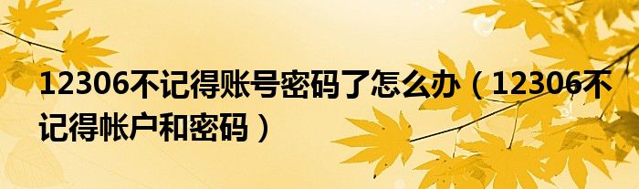 12306不记得账号密码了怎么办（12306不记得帐户和密码）