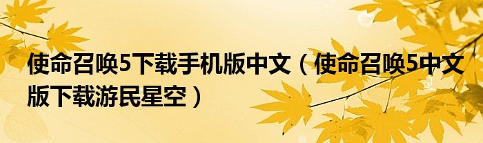 使命召唤5下载手机版中文（使命召唤5中文版下载游民星空）