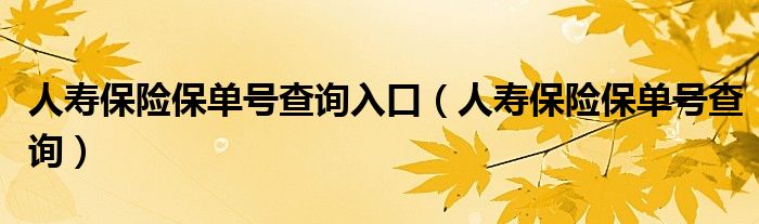 人寿保险保单号查询入口（人寿保险保单号查询）