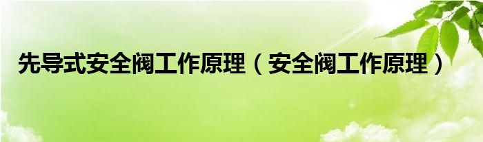 先导式安全阀工作原理（安全阀工作原理）