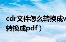 cdr文件怎么转换成word文档（cdr文件怎么转换成pdf）