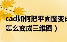 cad如何把平面图变成三维图（CAD的平面图怎么变成三维图）