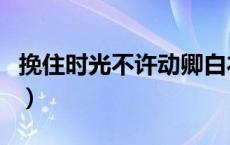 挽住时光不许动卿白衣晋江（挽住时光不许动）