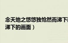 念天地之悠悠独怆然而涕下画面题（念天地之悠悠独怆然而涕下的画面）