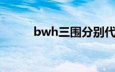 bwh三围分别代表什么（BWH）