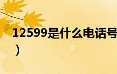 12599是什么电话号码?（12599是什么号码）