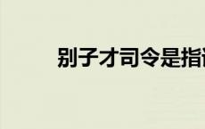 别子才司令是指谁（别子才司令）