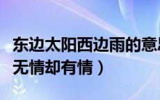 东边太阳西边雨的意思（东边太阳西边雨道是无情却有情）