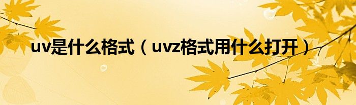 uv是什么格式（uvz格式用什么打开）