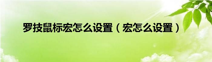 罗技鼠标宏怎么设置（宏怎么设置）