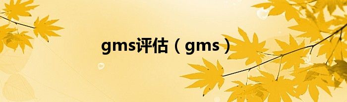 gms评估（gms）