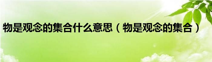 物是观念的集合什么意思（物是观念的集合）