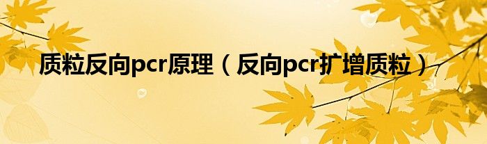 质粒反向pcr原理（反向pcr扩增质粒）