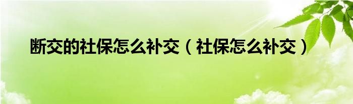 断交的社保怎么补交（社保怎么补交）