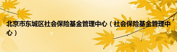 北京市东城区社会保险基金管理中心（社会保险基金管理中心）