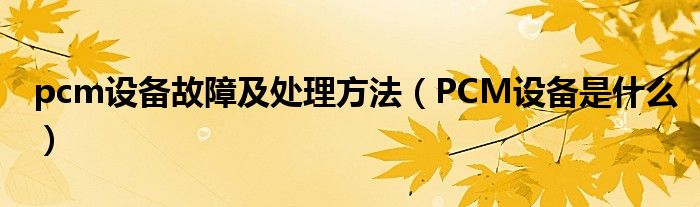 pcm设备故障及处理方法（PCM设备是什么）