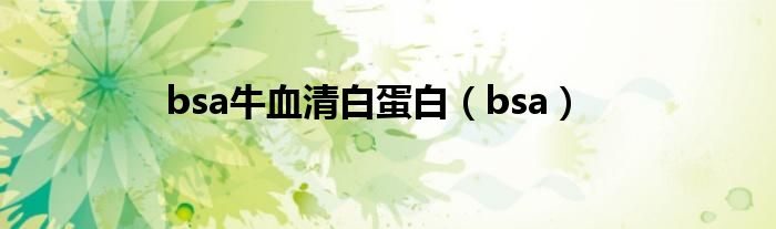 bsa牛血清白蛋白（bsa）