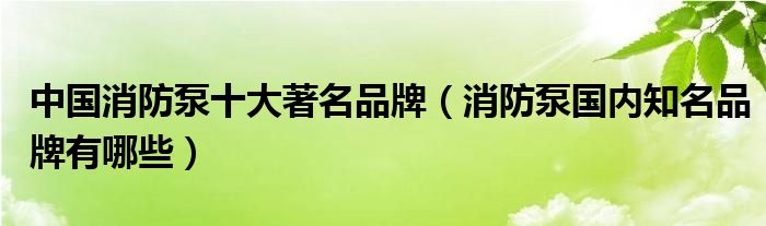 中国消防泵十大著名品牌（消防泵国内知名品牌有哪些）