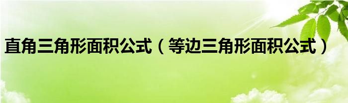 直角三角形面积公式（等边三角形面积公式）