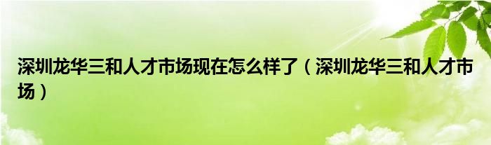 深圳龙华三和人才市场现在怎么样了（深圳龙华三和人才市场）