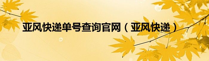 亚风快递单号查询官网（亚风快递）