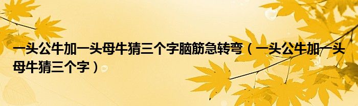 一头公牛加一头母牛猜三个字脑筋急转弯（一头公牛加一头母牛猜三个字）