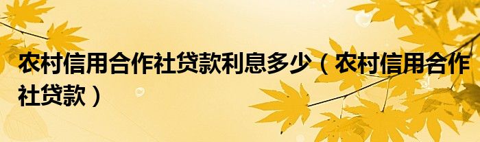 农村信用合作社贷款利息多少（农村信用合作社贷款）