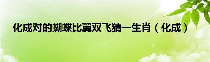 化成对的蝴蝶比翼双飞猜一生肖（化成）