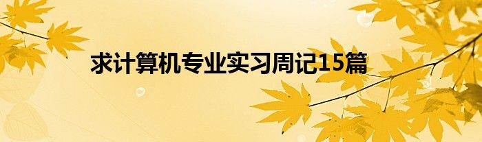 求计算机专业实习周记15篇