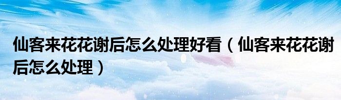 仙客来花花谢后怎么处理好看（仙客来花花谢后怎么处理）