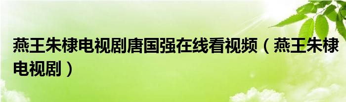 燕王朱棣电视剧唐国强在线看视频（燕王朱棣电视剧）