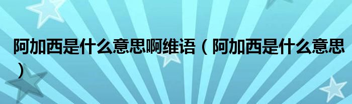 阿加西是什么意思啊维语（阿加西是什么意思）