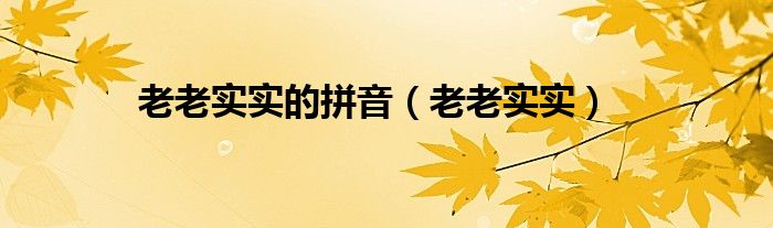 老老实实的拼音（老老实实）