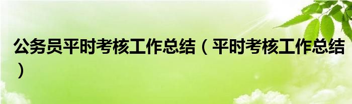 公务员平时考核工作总结（平时考核工作总结）