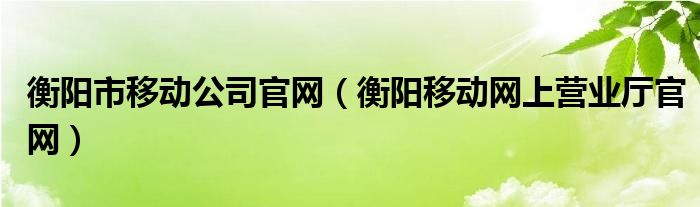 衡阳市移动公司官网（衡阳移动网上营业厅官网）