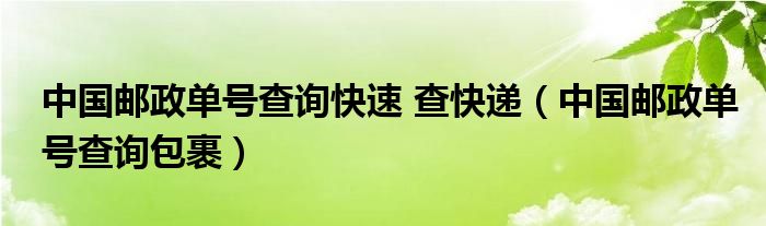 中国邮政单号查询快速 查快递（中国邮政单号查询包裹）