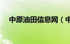 中原油田信息网（中原油田局域网网址）