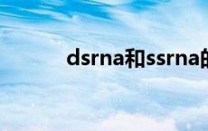 dsrna和ssrna的区别（dsrna）