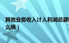 其他业务收入计入利润总额吗（其他业务收入在利润表中怎么填）