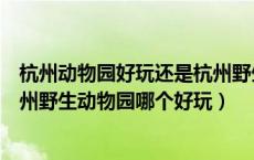 杭州动物园好玩还是杭州野生动物园好玩（杭州动物园和杭州野生动物园哪个好玩）