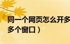 同一个网页怎么开多个?（怎么设置一个网页多个窗口）