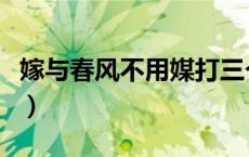 嫁与春风不用媒打三个数字（嫁与春风不用媒）