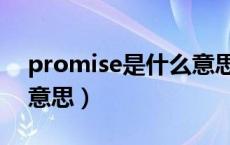 promise是什么意思翻译（promise是什么意思）