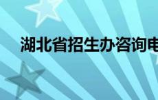 湖北省招生办咨询电话（湖北省招生办）